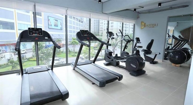 Apartment for rent in Masteri  (1)